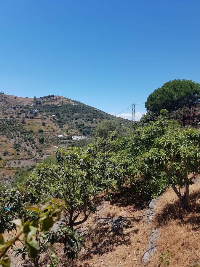 Casa Algill Villa Torrox Eksteriør bilde